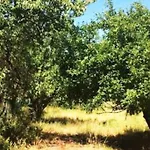 Cascina Baracico, Circondati Dalla Natura Rocca Grimalda