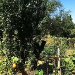 Cascina Baracico, Circondati Dalla Natura Ferienhaus *
