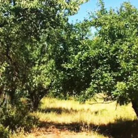 Cascina Baracico, Circondati Dalla Natura Rocca Grimalda