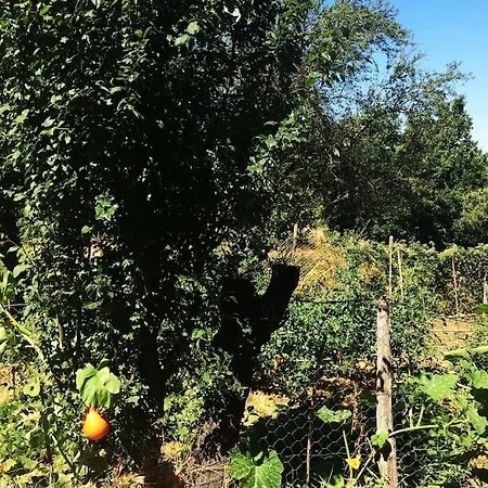 Cascina Baracico, Circondati Dalla Natura 度假居 *