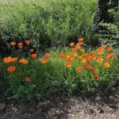 Vakantiehuis Cascina Baracico, Circondati Dalla Natura