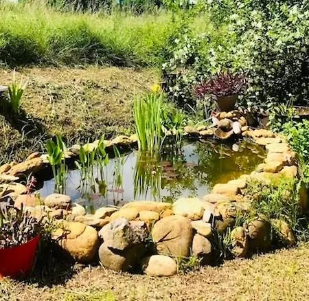 Cascina Baracico, Circondati Dalla Natura Prázdninový dům *