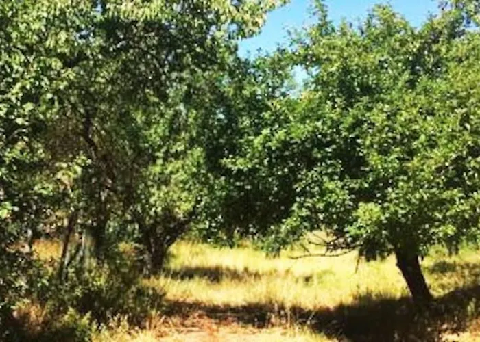 Cascina Baracico, Circondati Dalla Natura Rocca Grimalda