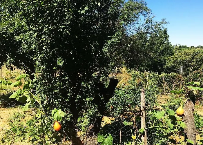 Cascina Baracico, Circondati Dalla Natura Tatil Evi *